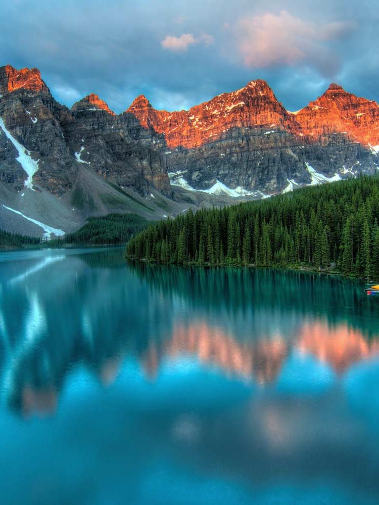 Medio ambiente Medio ambiente