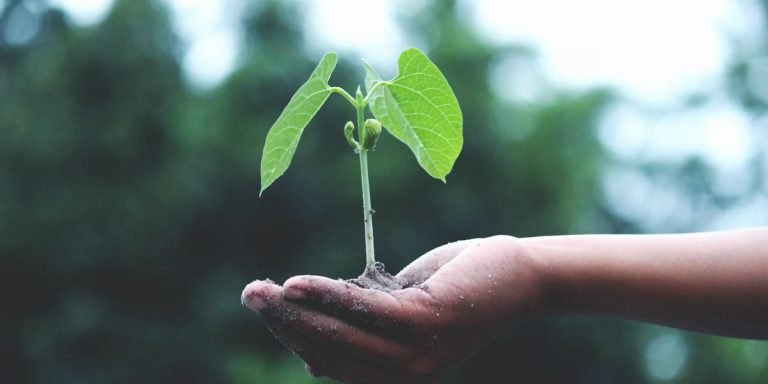 que-es-el-biogas-o-biogas biogas-o-biogas