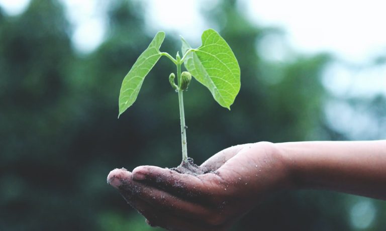 que-es-el-biogas-o-biogas biogas-o-biogas