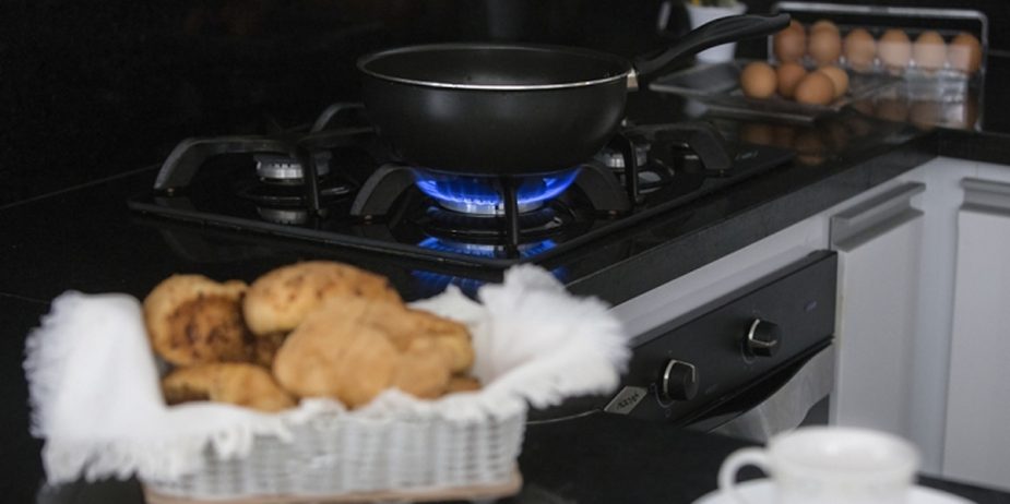 aprobado debate Naturgas