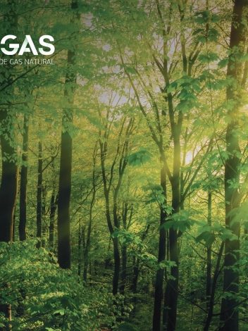 indicadores-industria-del-gas-natural Naturgas