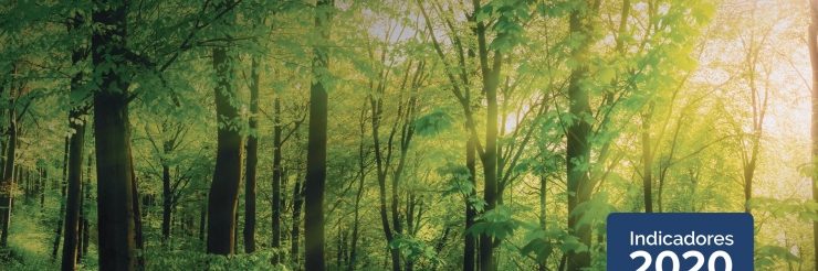 indicadores-industria-del-gas-natural Naturgas