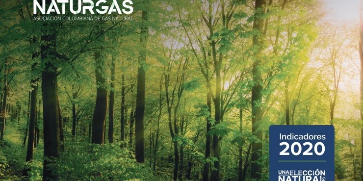 indicadores-industria-del-gas-natural Naturgas