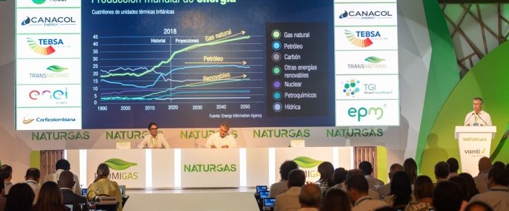Naturgas