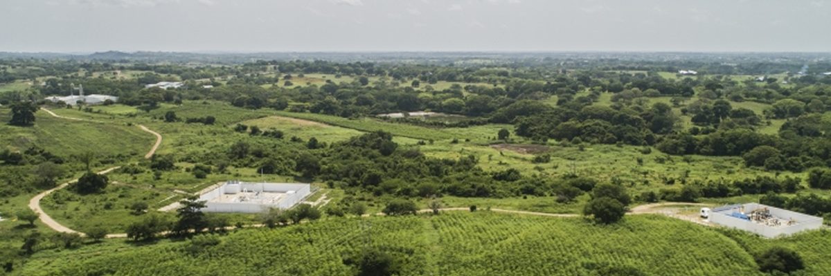 perspectivas Naturgas