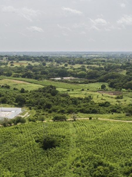 perspectivas Naturgas