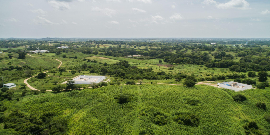 blog-descarbonizacion