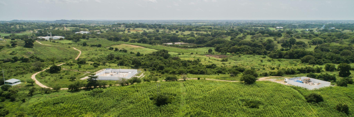 blog-descarbonizacion blog-descarbonizacion