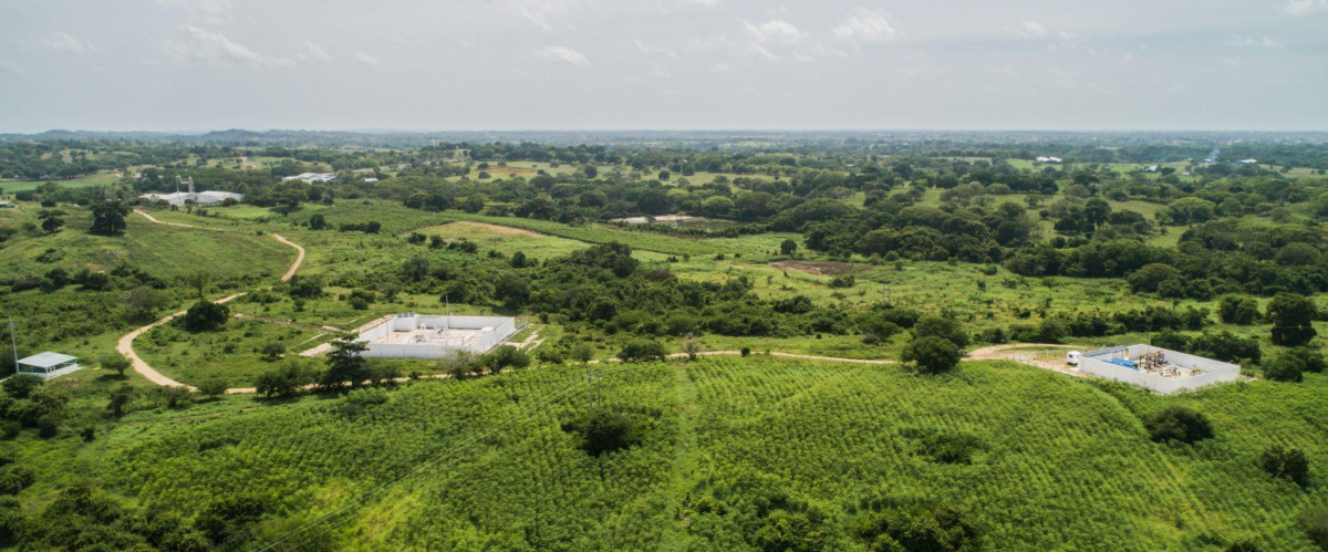 blog-descarbonizacion