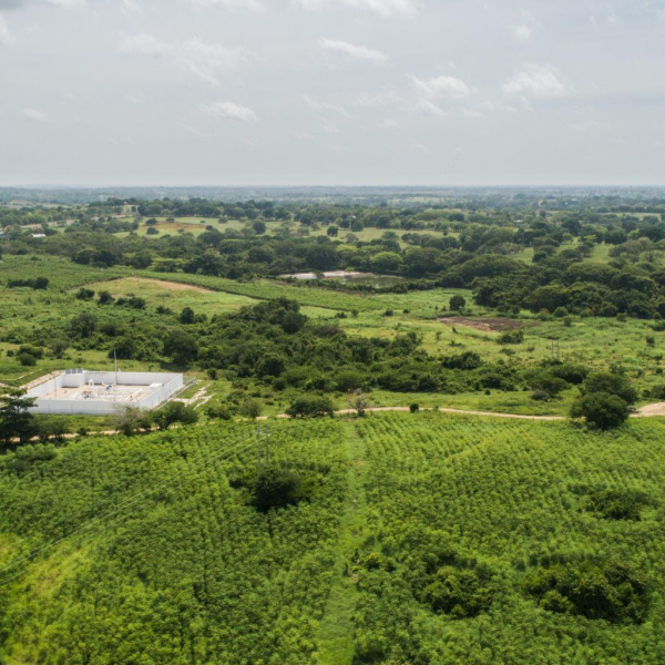 blog-descarbonizacion