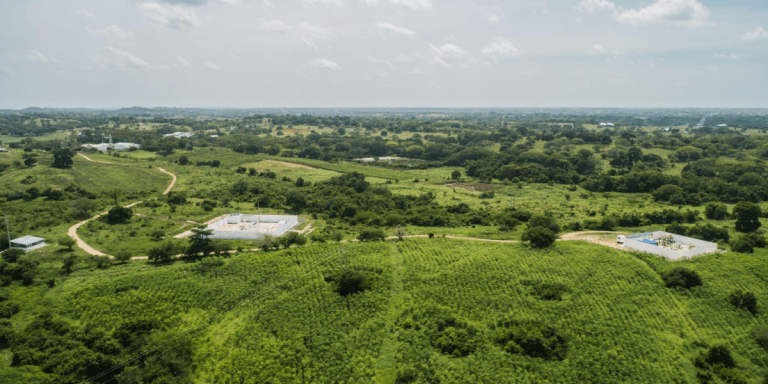 blog-descarbonizacion blog-descarbonizacion