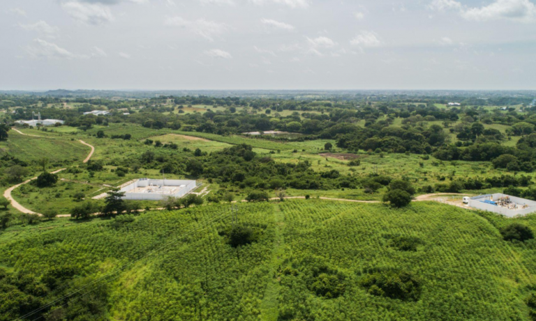 blog-descarbonizacion