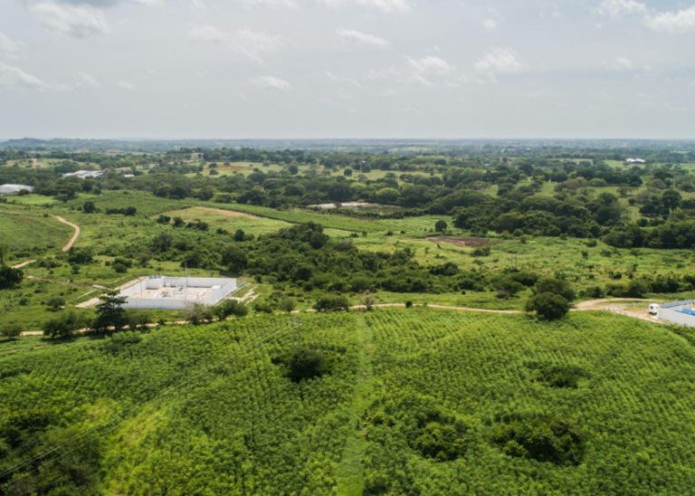 blog-descarbonizacion