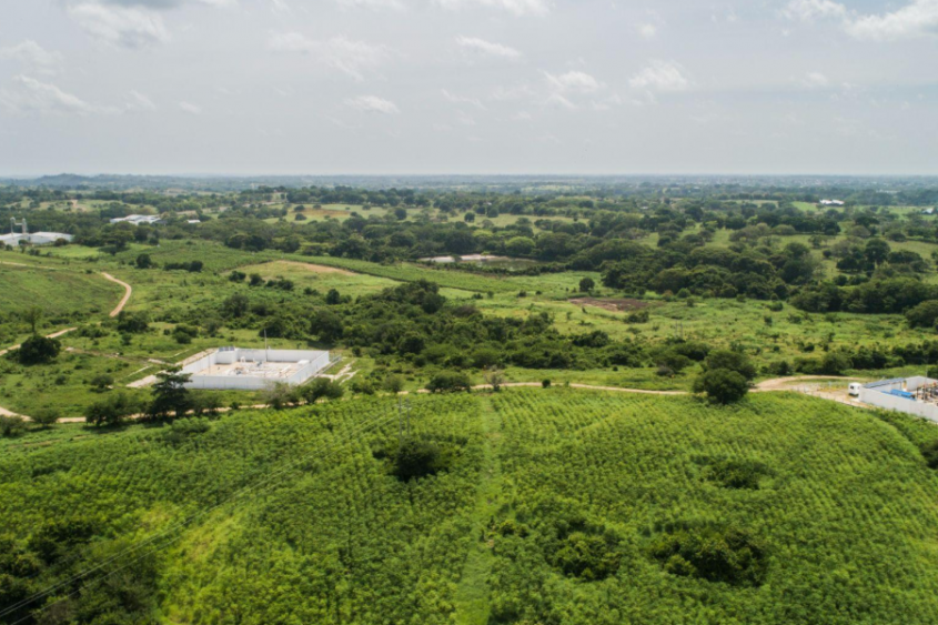 blog-descarbonizacion