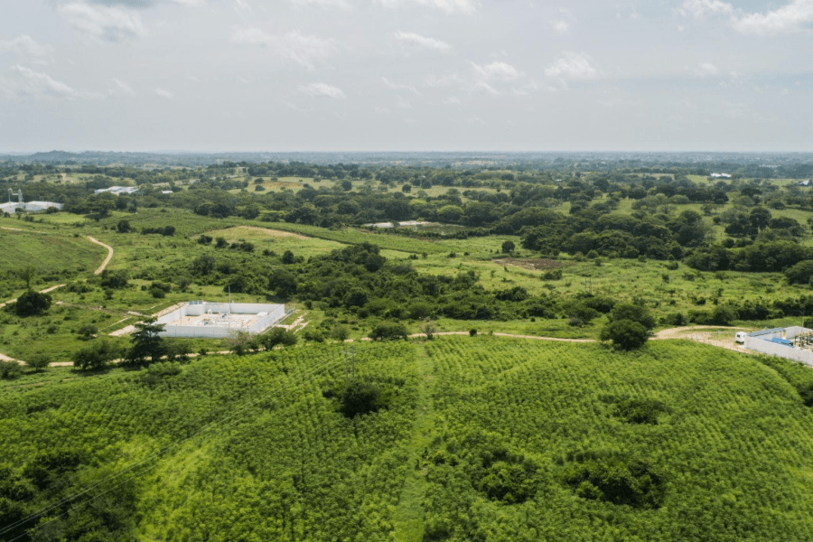 blog-descarbonizacion blog-descarbonizacion