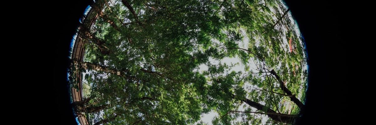 usos del gas natural