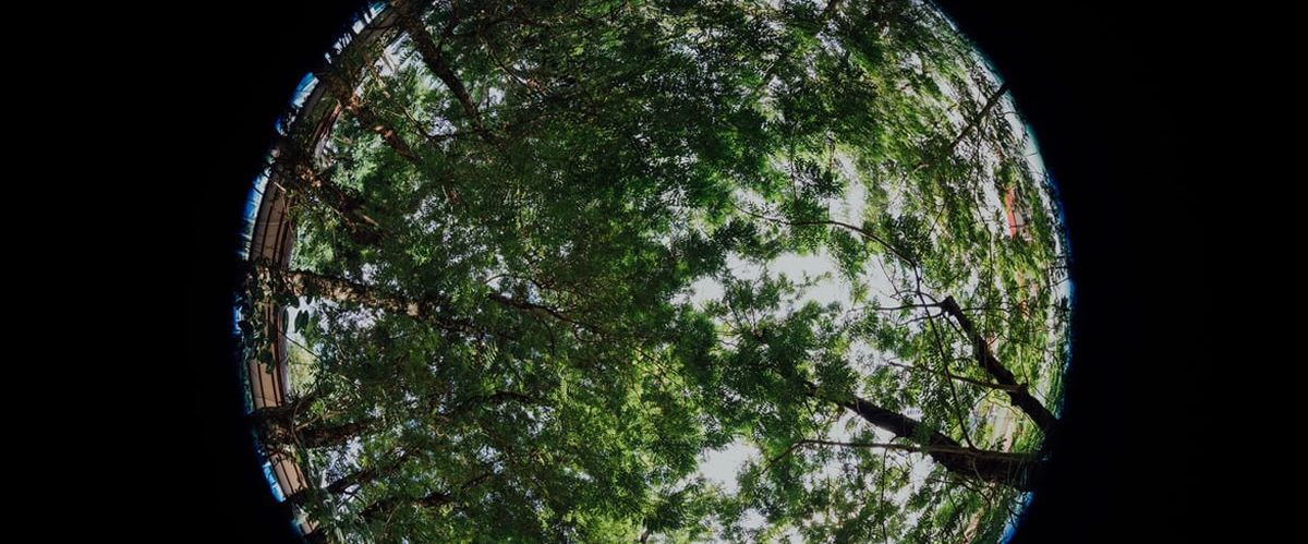 usos del gas natural