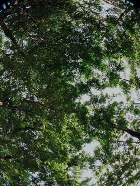 usos-del-gas-natural-en-el-mundo usos del gas natural