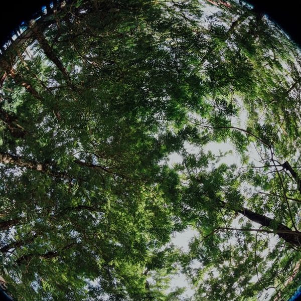 usos del gas natural