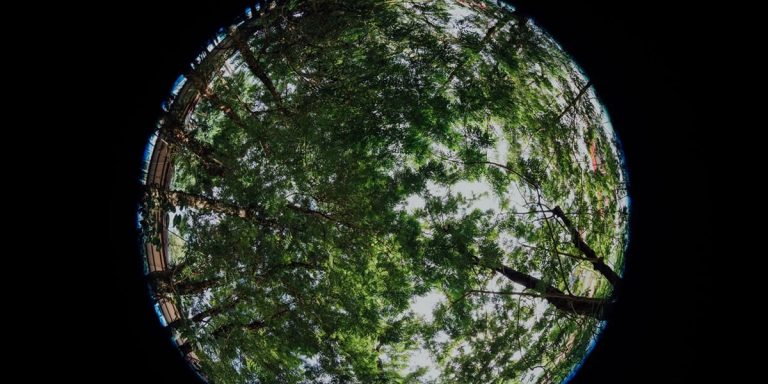 usos del gas natural