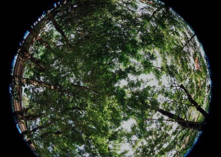 usos del gas natural