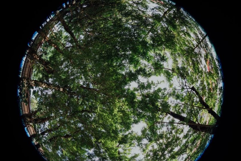 usos del gas natural