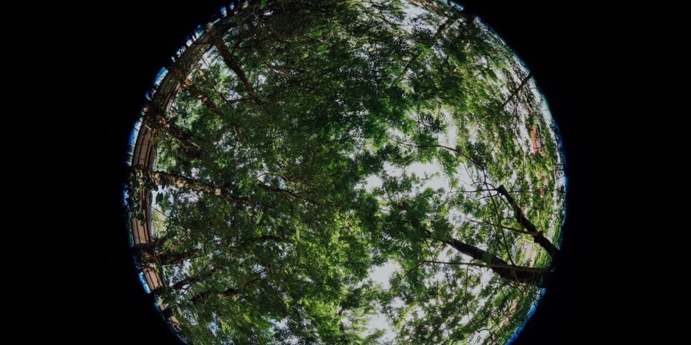 usos del gas natural