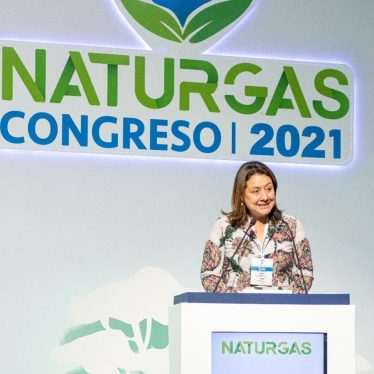 Naturgas