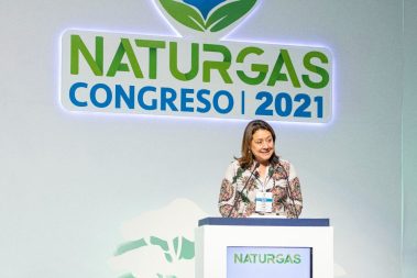 Naturgas