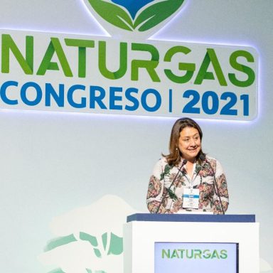 Naturgas
