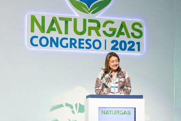 Naturgas