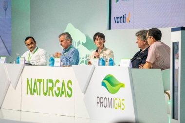 Naturgas