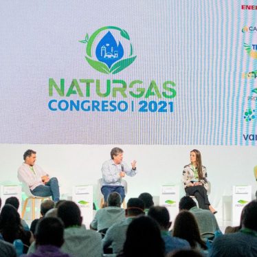 Naturgas
