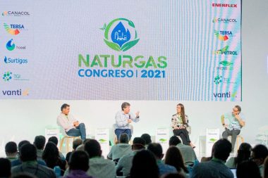 Naturgas