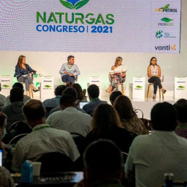 Naturgas
