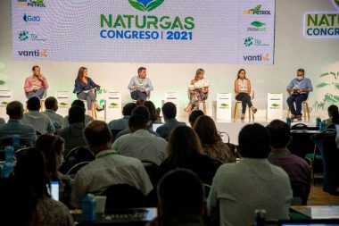 Naturgas
