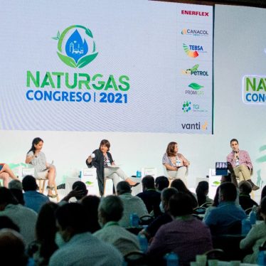 Naturgas