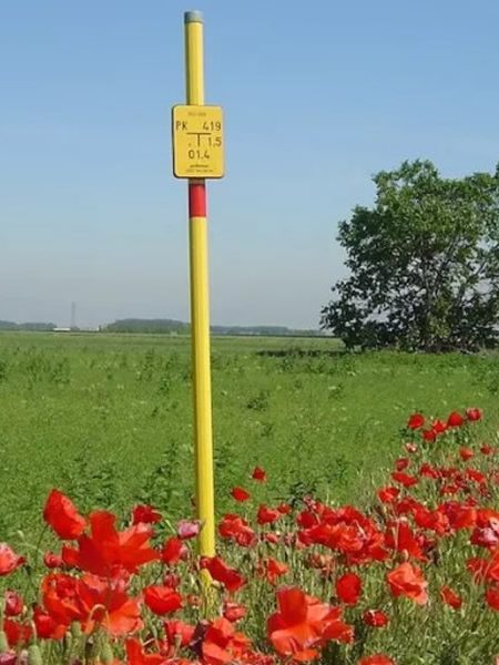 gas-natural Naturgas