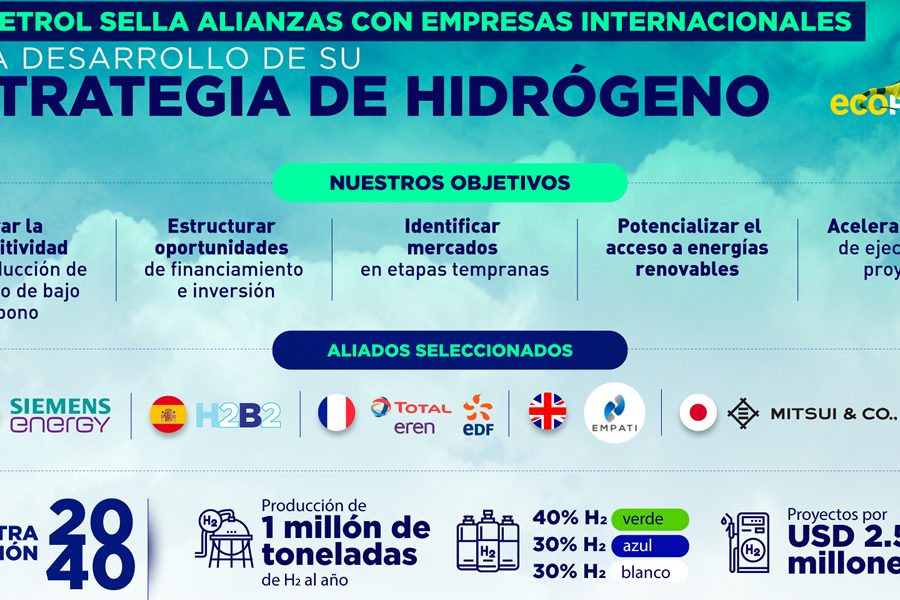 Empresas aliadas hidrógeno Naturgas