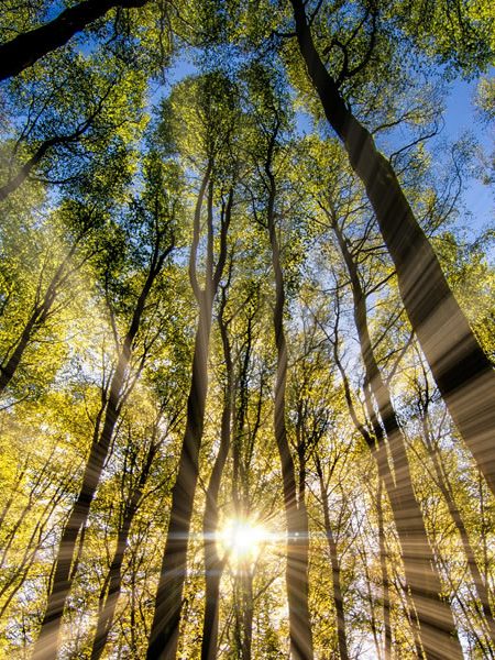 gas-natural-el-energetico-de-la-transicion Naturgas