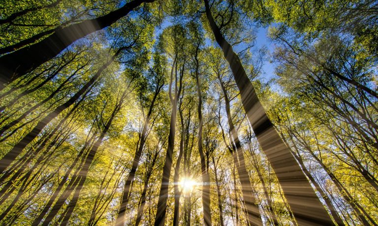 gas-natural-el-energetico-de-la-transicion Naturgas