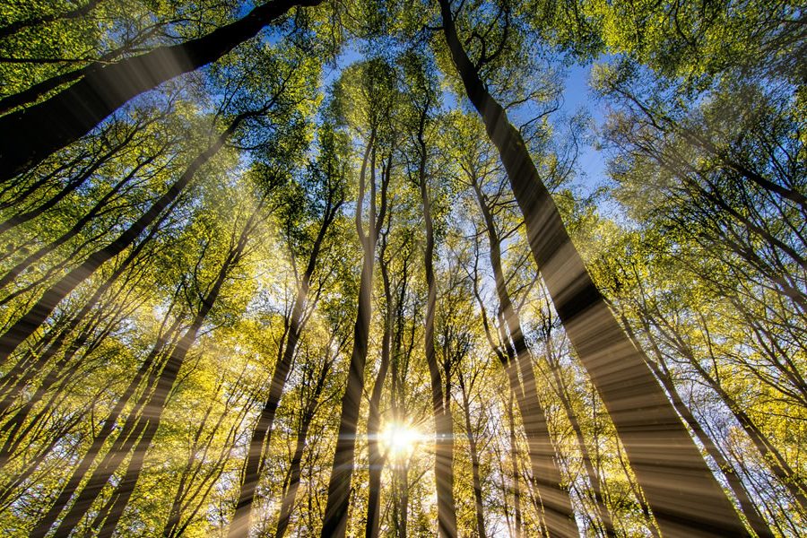 gas-natural-el-energetico-de-la-transicion Naturgas