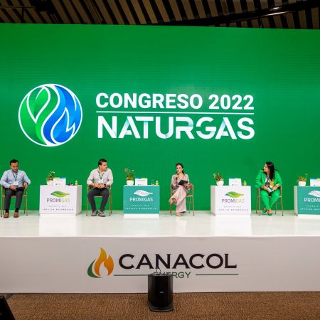 Naturgas