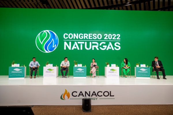 Naturgas
