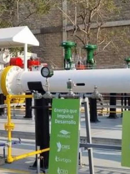 Promigas, primera empresa latinoamericana en formar parte de la iniciativa de gas natural de la Universidad de Stanford Naturgas