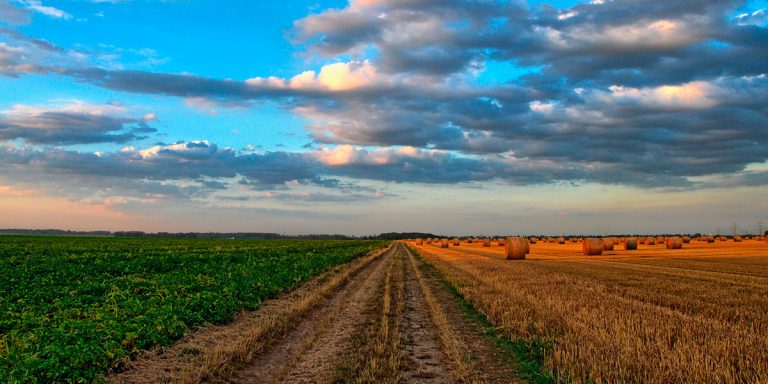 Uso-de-la-tierra-y-la-deforestacioìn,-los-principales-emisores-de-CO2-en-Colombia- Naturgas
