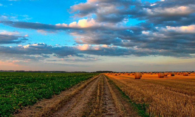 Uso-de-la-tierra-y-la-deforestacioìn,-los-principales-emisores-de-CO2-en-Colombia- Naturgas