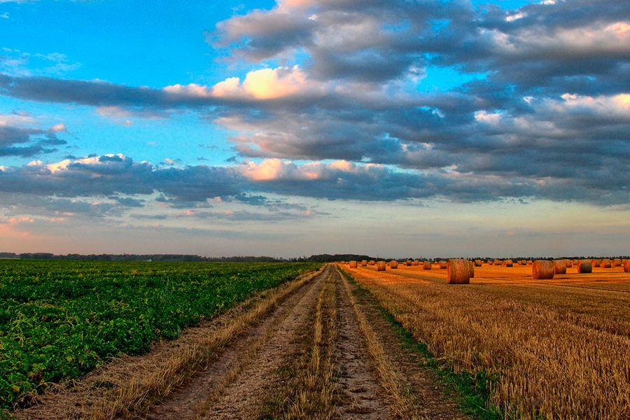 Uso-de-la-tierra-y-la-deforestacioìn,-los-principales-emisores-de-CO2-en-Colombia- Naturgas