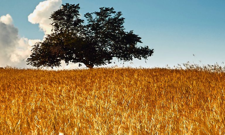 asi-aporta-el-gas-natural-a-mejorar-la-calidad-del-aire Naturgas