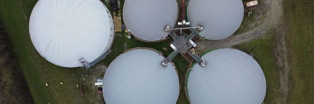 el-rol-del-biogas-en-la-transicion-energetica Naturgas